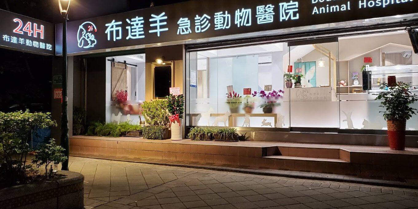 2020-06-01 布達羊動物醫院