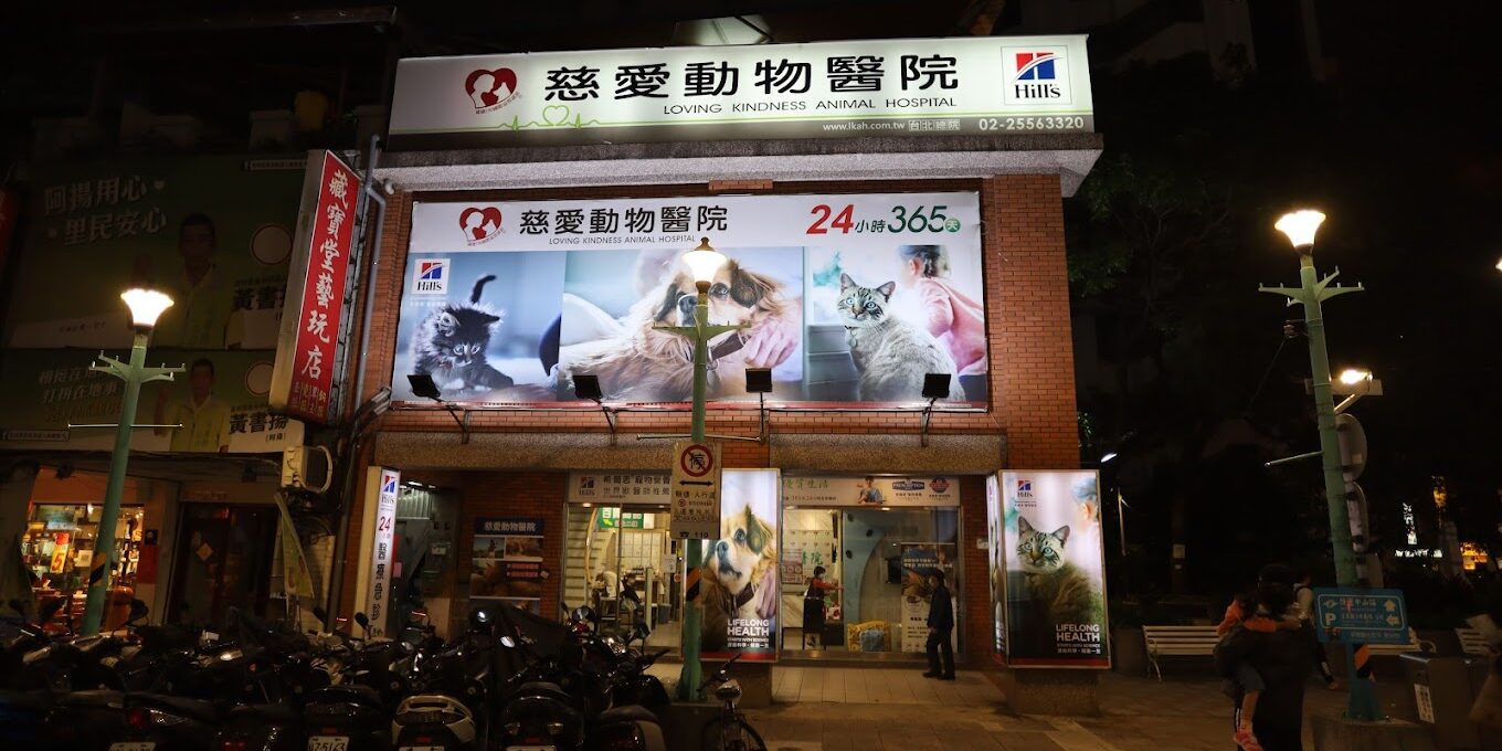 慈愛動物 慈愛動物醫院