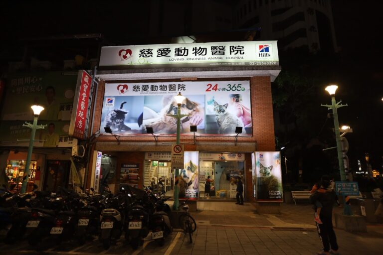慈愛動物醫院