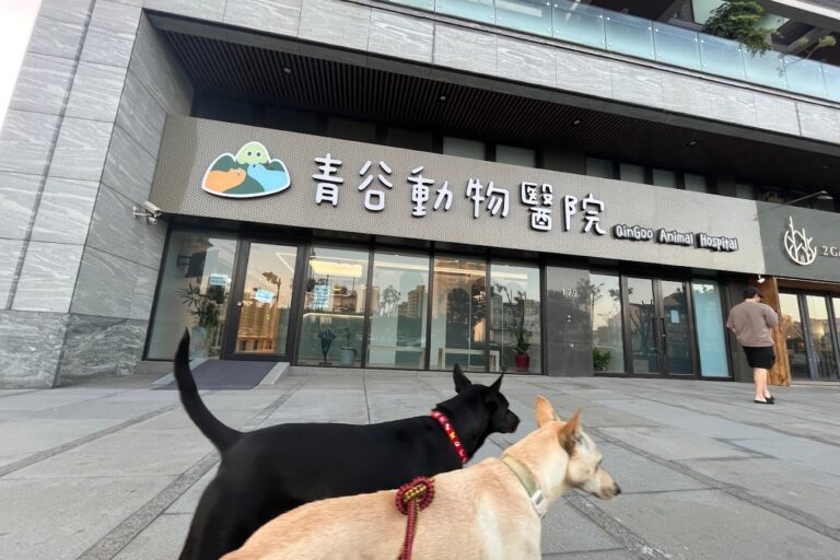 青谷動物醫院