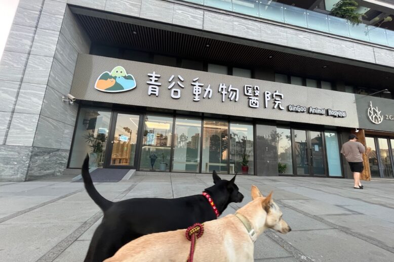 青谷動物醫院