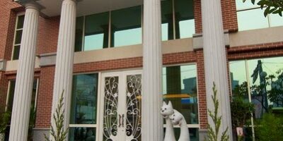 忠愛動物醫院 忠愛動物醫院