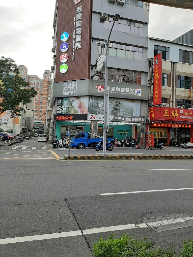 慈愛動物醫院-台南總院