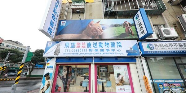 展望動物醫院-台北市24小時急診動物醫院
